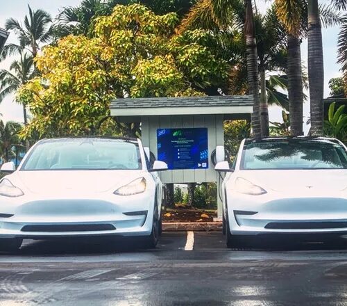Two Teslas